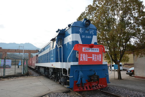 全球復(fù)蘇前景仍不確定，中國(guó)經(jīng)濟(jì)穩(wěn)定器作用凸顯——以道路貨物運(yùn)輸為觀察視角